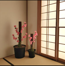 Load image into Gallery viewer, Toilet Plunger and Scrub Brush Containers Japanese Cherry Blossom or Apple Blossom, Bathroom Decor