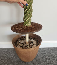 Load image into Gallery viewer, Spiral Cactus Container Tornado Twisted Cactus Top Secret Plants Hidden Storage