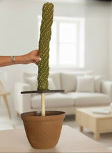 Load image into Gallery viewer, Spiral Cactus Container Tornado Twisted Cactus Top Secret Plants Hidden Storage