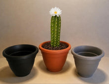 Load image into Gallery viewer, Toilet Brush Holder Cactus Blossom Container Caddy for Bowl Brush Southwest Decor Bathroom Succulent