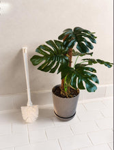 Load image into Gallery viewer, Monstera Potty Plants® – Hidden Toilet Brush Holder & Bathroom Plant Decor