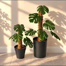 Load image into Gallery viewer, Monstera Potty Plants® Set, Toilet Plunger & Brush Covers, Bathroom Storage & Organization