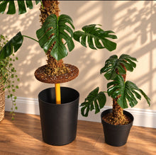Load image into Gallery viewer, Monstera Potty Plants® Set, Toilet Plunger & Brush Covers, Bathroom Storage & Organization