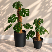 Load image into Gallery viewer, Monstera Potty Plants® Set, Toilet Plunger & Brush Covers, Bathroom Storage & Organization