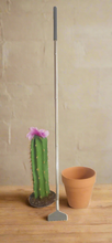 Load image into Gallery viewer, Back scratcher in cactus container Southwest desert decor