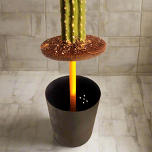 Load image into Gallery viewer, Cactus Plunger Cover Southwest Bathroom Decor Succulent Saguaro