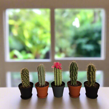 Load image into Gallery viewer, Cactus Pen Holder Desk Decor Hides Sharpie Pen Highlighter Nail File Envelope Letter Opener Keys Office Organization Secret Succulent Cactus
