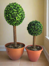 Load image into Gallery viewer, Topiary Trees interior design decor disguise hide cover bathroom toilet plunger scrub brush bowl cleaner Potty Plants