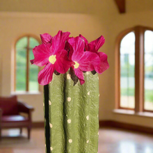 Load image into Gallery viewer, Top Secret Cactus Giant Pin Cushion for Sewing Supplies OR Hide Valuables And More