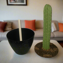 Load image into Gallery viewer, Top Secret Cactus Giant Pin Cushion for Sewing Supplies OR Hide Valuables And More