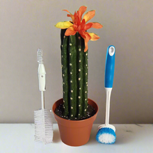 Load image into Gallery viewer, Kitchen cactus dishes washing scrub brush cover scrubber keeper