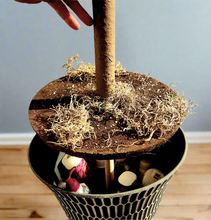 Load image into Gallery viewer, Top Secret Palm Tree Decor Hides Items Discreetly Hidden Compartment Secret Stash Office Decor