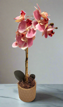 Load image into Gallery viewer, Secret Orchid Hide Keys Valuables Desk Organizer Bedside Items Candy Dish