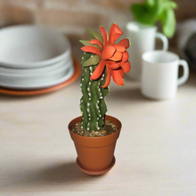 Load image into Gallery viewer, Cactus Toothpick Holder Southwest Decor Succulent Key Stash Small Items