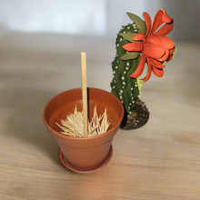 Load image into Gallery viewer, Cactus Toothpick Holder Southwest Decor Succulent Key Stash Small Items