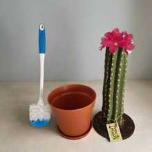Load image into Gallery viewer, Cactus Cover for Toilet Bowl Scrub Brush Bathroom Container Southwest Cowboy Succulent Decoration