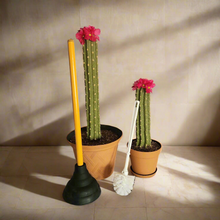 Load image into Gallery viewer, Southwest Bathroom Decor Toilet plunger and bowl scrub brush containers caddy cactus Saguaro