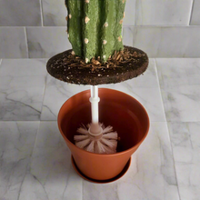 Load image into Gallery viewer, Cactus Cover for Toilet Bowl Scrub Brush Bathroom Container Southwest Cowboy Succulent Decoration