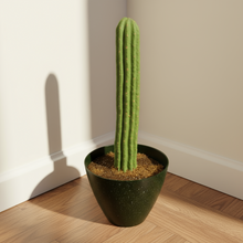 Load image into Gallery viewer, Top Secret Cactus Giant Pin Cushion for Sewing Supplies OR Hide Valuables And More