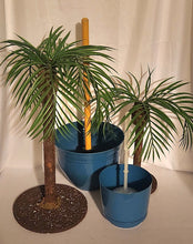 Load image into Gallery viewer, Potty Plants® Palm Trees
