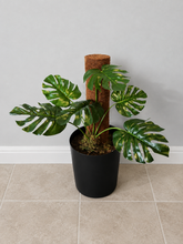 Load image into Gallery viewer, Monstera Plant, Hidden Bellows Toilet Plunger Holder, Bathroom Decor, Bathroom Organizer