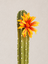 Load image into Gallery viewer, Toilet Brush Holder Cactus Blossom Container Caddy for Bowl Brush Southwest Decor Bathroom Succulent