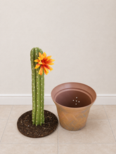 Load image into Gallery viewer, Cactus Toilet Plunger Cover Southwest Bathroom Decor Succulent Saguaro