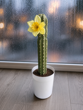 Load image into Gallery viewer, Cactus Toilet Plunger Cover Southwest Bathroom Decor Succulent Saguaro