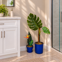 Load image into Gallery viewer, Monstera & Bird of Paradise Potty Plants® Toilet Plunger and Brush Container Holders