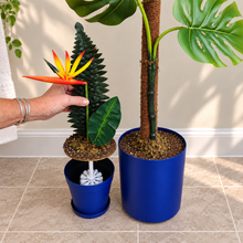 Load image into Gallery viewer, Monstera & Bird of Paradise Potty Plants® Toilet Plunger and Brush Container Holders