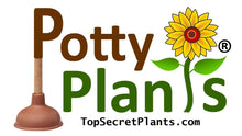 Load image into Gallery viewer, Potty Plants® Dieffenbachia (Leopard Lily)
