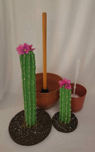 Load image into Gallery viewer, Potty Plants® Cactus set
