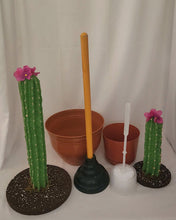 Load image into Gallery viewer, Potty Plants® Cactus set
