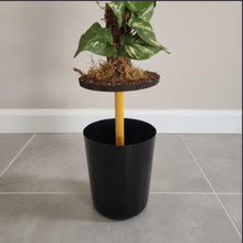 Load image into Gallery viewer, Pothos Potty Plants®️ toilet plunger and scrub brush containers