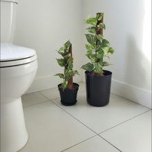 Load image into Gallery viewer, Pothos Potty Plants®️ toilet plunger and scrub brush containers