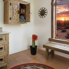 Load image into Gallery viewer, Cactus Blossom Toilet Scrub Brush Container Southwest Bathroom Decor