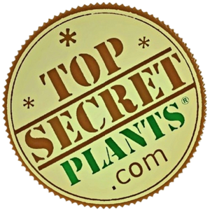 Top Secret Plants