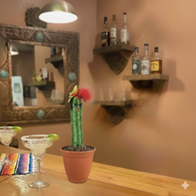 Load image into Gallery viewer, SaguarHOE Fun Cactus Container Sewing Pin Cushion Candy Dish Desk Decor
