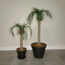 Load image into Gallery viewer, Palm Trees Toilet Plunger and Scrub Brush Covers Set Beach Theme Bathroom Accessories Island Decor for Cleaning Tools
