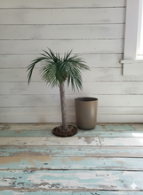 Load image into Gallery viewer, Palm tree tropical island bathroom toilet plunger cover beach decoration
