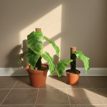 Load image into Gallery viewer, Philodendron Toilet Plunger Scrub Brush Cover Containers Leafy POTTY PLANTS Bathroom Decor
