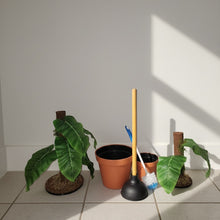 Load image into Gallery viewer, Philodendron Toilet Plunger Scrub Brush Cover Containers Leafy POTTY PLANTS Bathroom Decor
