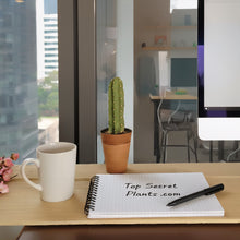 Load image into Gallery viewer, Lint Roller Cover Succulent Cactus Container Laundry Office SuccuLINT Petcare
