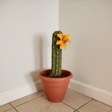 Load image into Gallery viewer, Toilet Brush Holder Cactus Blossom Container Caddy for Bowl Brush Southwest Decor Bathroom Succulent
