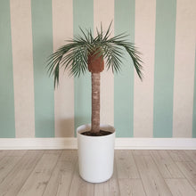 Load image into Gallery viewer, Palm tree tropical island bathroom toilet plunger cover beach decoration
