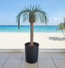 Load image into Gallery viewer, Palm tree tropical island bathroom toilet plunger cover beach decoration
