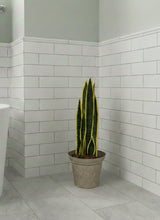 Load image into Gallery viewer, Toilet Snake Plant Plunger Cover Container Caddy Bathroom Decor
