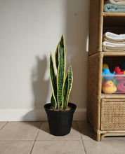 Load image into Gallery viewer, Toilet Snake Plant Plunger Cover Container Caddy Bathroom Decor
