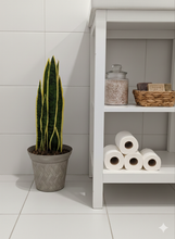 Load image into Gallery viewer, Toilet Snake Plant Plunger Cover Container Caddy Bathroom Decor
