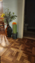 Load image into Gallery viewer, Bellows Plunger Container Cover Succulent Cactus Southwest Bathroom Decor POTTY PLANTS
